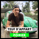 Teuf d'appart : Poirier